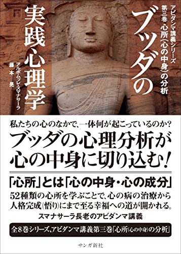 ブッダの実践心理学 第三巻 心所（心の中身）の分析（アビダンマ講義  