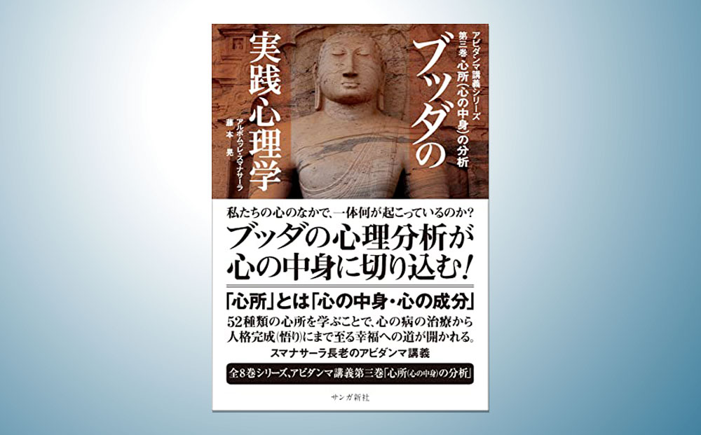 ブッダの実践心理学 第三巻 心所（心の中身）の分析（アビダンマ講義