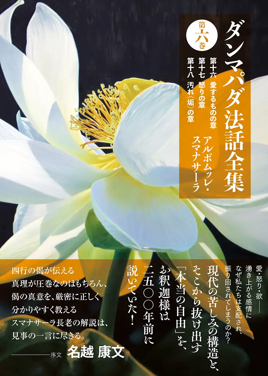 ダンマパダ法話全集第6巻